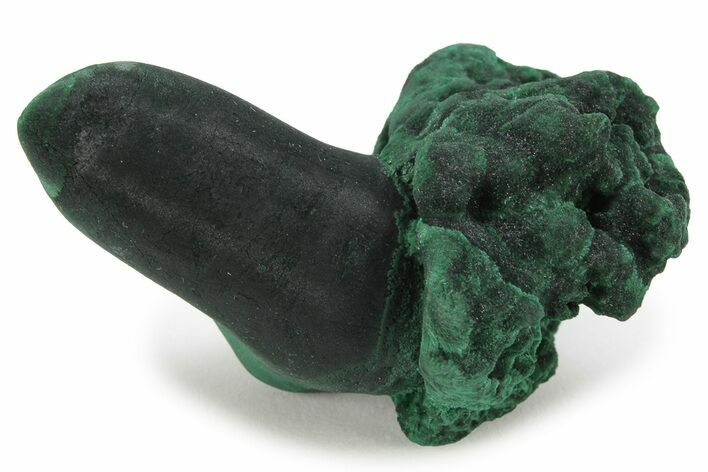 Chatoyant Botryoidal Malachite Formation - Shilu Mine, China #223505